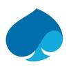 Capgemini
